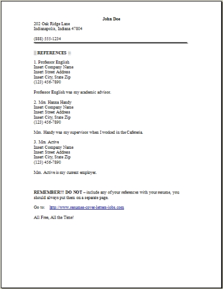 Resume Reference Page Example