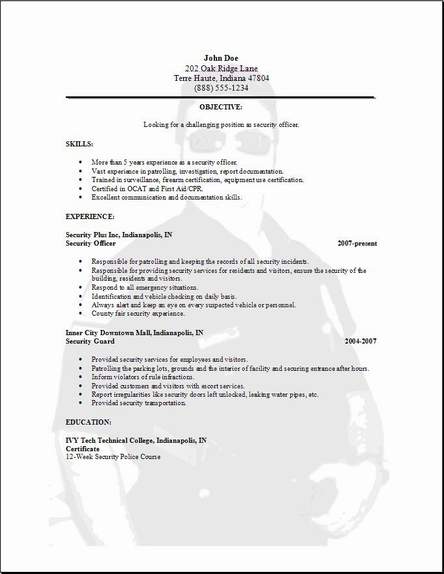 Resumes Samples For Jobs Job Resume Examples And Samples