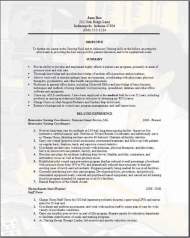 Nurse Resume3