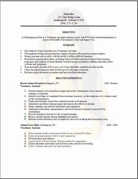 Free Veterinary Assistant Resume Template3