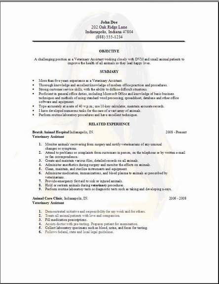 Veterinary Assistant Resume3